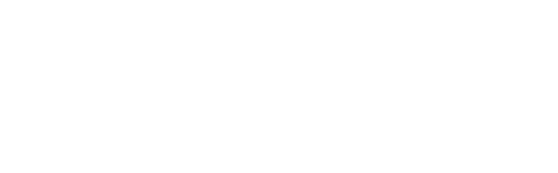 The Coleman Electric Company